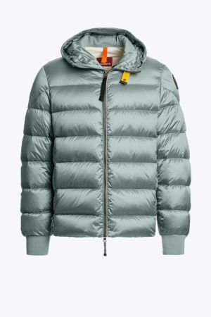 PHARRELL 0104/PURITAN GR