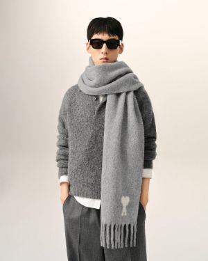 - 095 : GRIS CE
