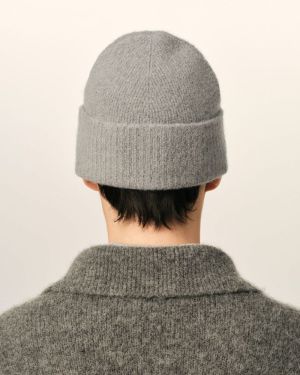 - A338 : GRIS C